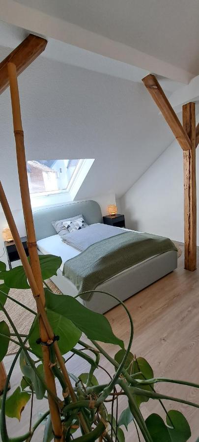 Waldstadt-Apartments Iserlohn Eksteriør billede